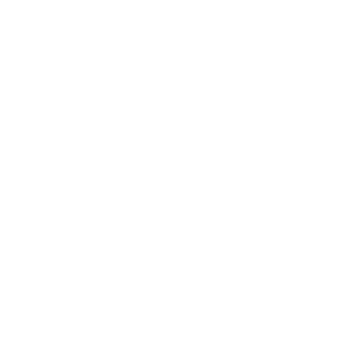Brioni_logo_transparent_mars2021_320x320.png